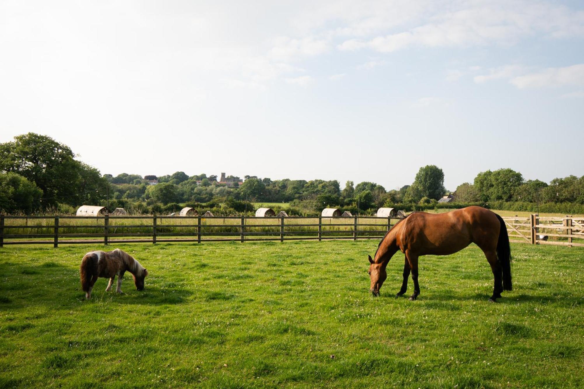 Sedgewell Barn By Wigwam Holidays Northallerton Buitenkant foto