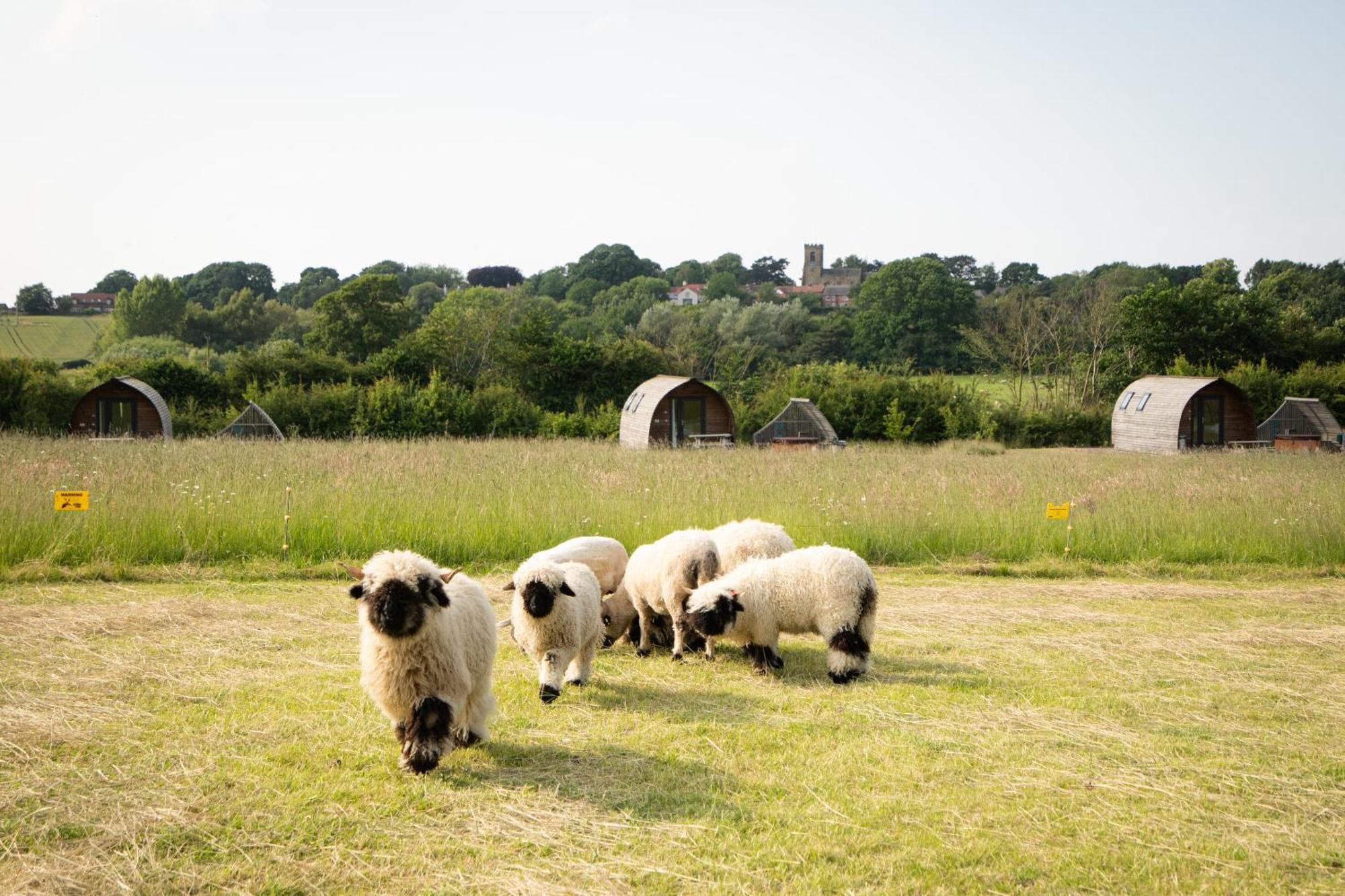 Sedgewell Barn By Wigwam Holidays Northallerton Buitenkant foto